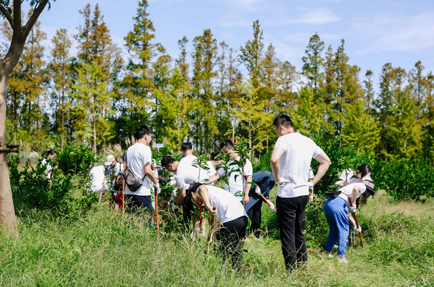 西安植树团建活动策划