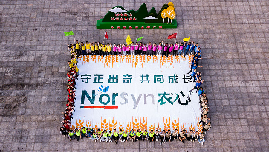 农心科技西安团队建设团建活动