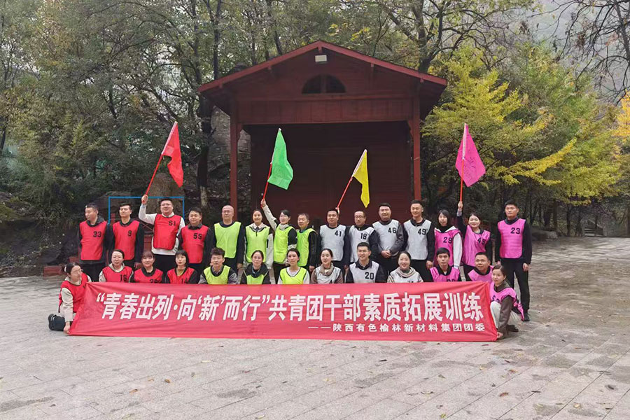 陕西有色榆林新材料集团团委